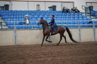 Class 174 - Morgan Walk-Trot-Jog- 11 & under - Championship