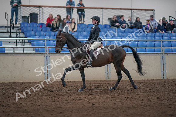 2019 Morgan Horse Show - Aug 31, 2019 - 20641