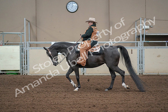 2019 Morgan Horse Show - Aug 31, 2019 - 06073