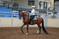 2020 - AB Morgan Horse - Fri, Sept 04 - 03475