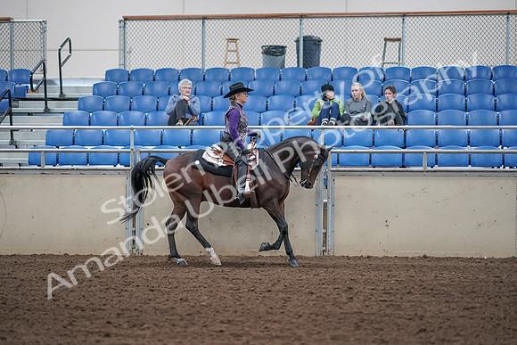 2019 Morgan Horse Show - Aug 31, 2019 - 10690
