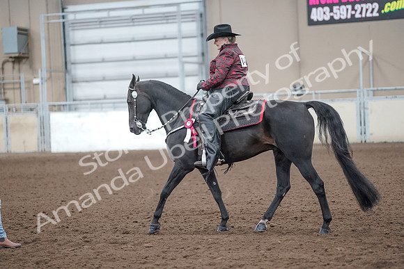 2019 Morgan Horse Show - Aug 31, 2019 - 10828