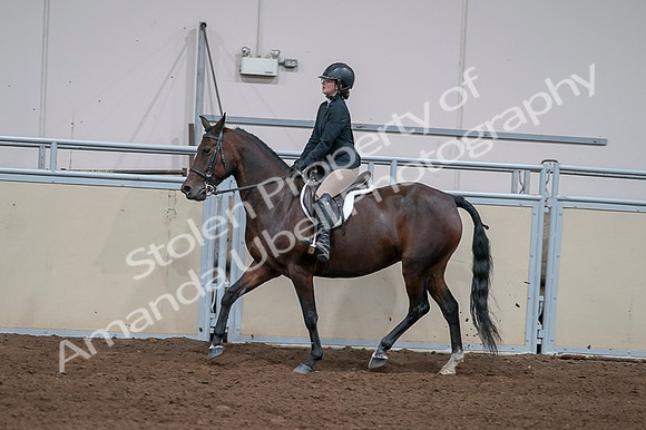 2020 - AB Morgan Horse - Fri, Sept 04 - 05961