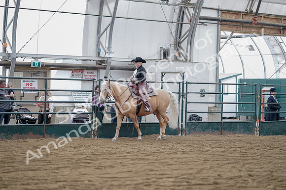 July 21, 2019 - 06501