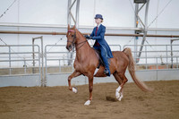Class 103 - ASB English Tree-Gaited Show Pleasure - Stake