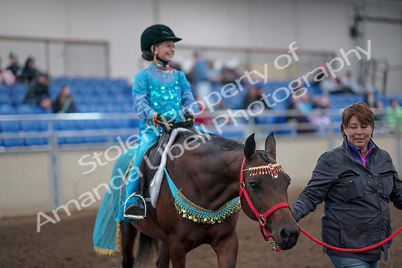 2019 Morgan Horse Show - Aug 31, 2019 - 09956