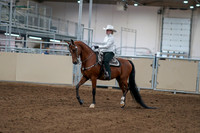 2020 - AB Morgan Horse - Fri, Sept 04 - 03469