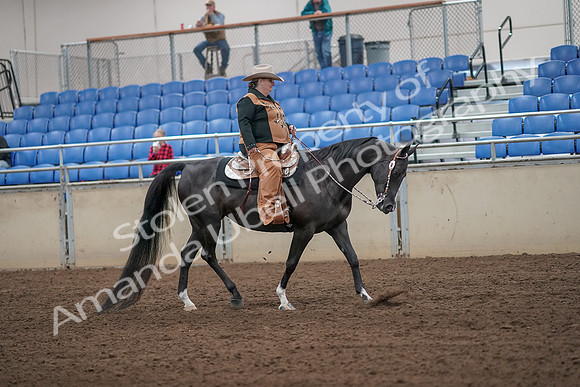 2019 Morgan Horse Show - Aug 31, 2019 - 06196