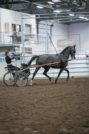 Spring Fling - Saturday - April 20, 2019  -  00266