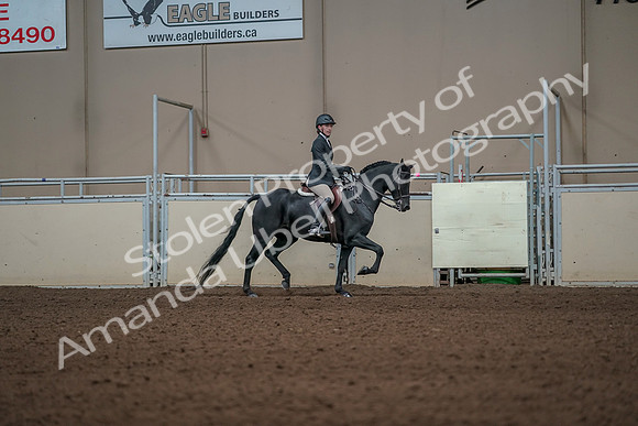 2019 Morgan Horse Show - Aug 31, 2019 - 05175