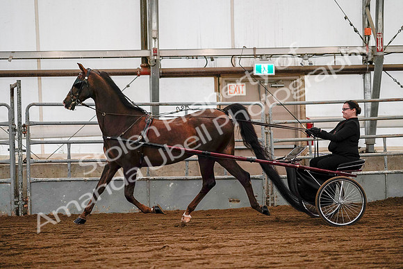 July 19, 2019 - 7049