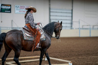 2020 - AB Morgan Horse - Fri, Sept 04 - 00055
