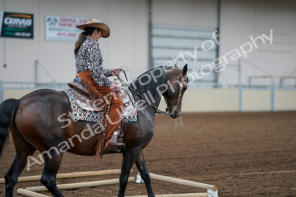 2020 - AB Morgan Horse - Fri, Sept 04 - 00055