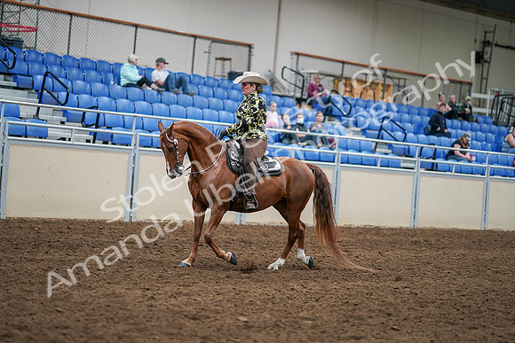 2020 - AB Morgan Horse - Sat, Sept 05 - 08889