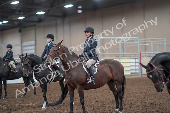 2019 Morgan Horse Show - Aug 31, 2019 - 19704