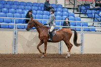 2020 - AB Morgan Horse - Sat, Sept 05 - 02608