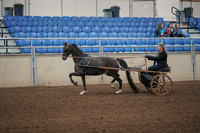 2019 Morgan Horse Show - Aug 31, 2019 - 04238