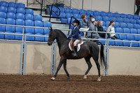 2020 - AB Morgan Horse - Sun, Sept 06 - 07670