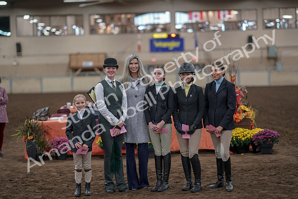2019 Morgan Horse Show - Aug 31, 2019 - 03925
