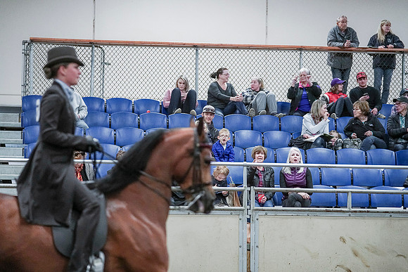 Spring Fling - Saturday - April 20, 2019  -  00823