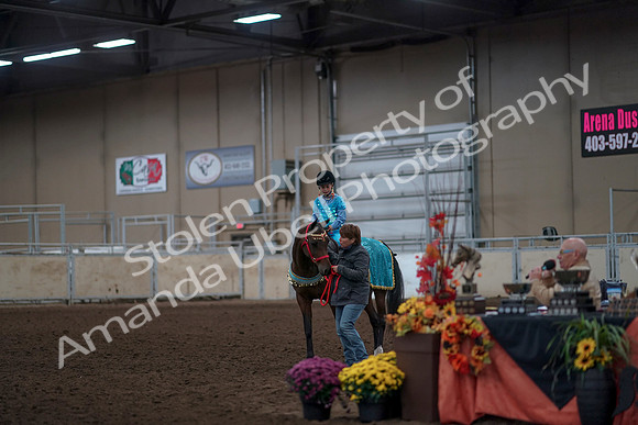 2019 Morgan Horse Show - Aug 31, 2019 - 10109
