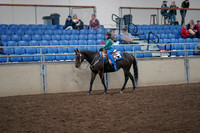 2019 Morgan Horse Show - Aug 31, 2019 - 16301