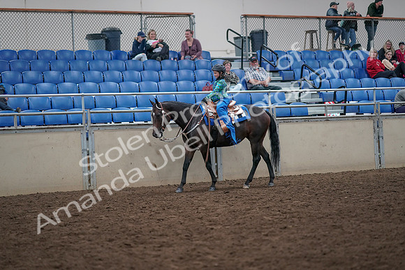 2019 Morgan Horse Show - Aug 31, 2019 - 16301