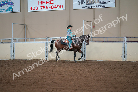 2019 Morgan Horse Show - Aug 30, 2019 - 17039