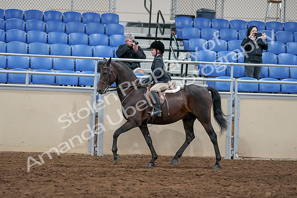2020 - AB Morgan Horse - Sun, Sept 06 - 07828