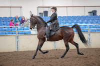 2019 Morgan Horse Show - Aug 30, 2019 - 27865