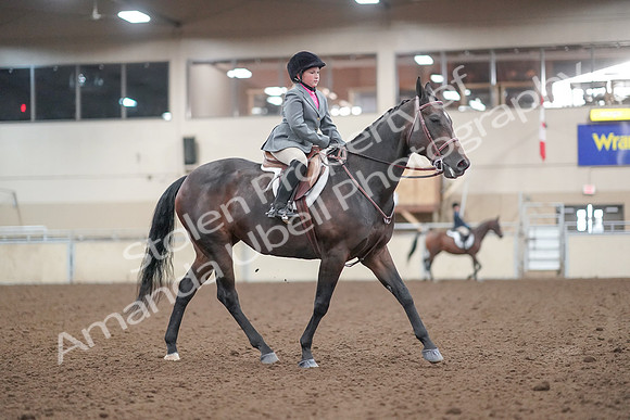 2019 Morgan Horse Show - Aug 31, 2019 - 19643