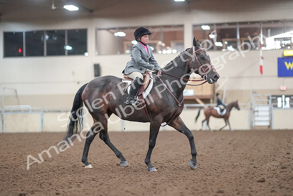 2019 Morgan Horse Show - Aug 31, 2019 - 19642
