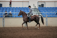 2019 Morgan Horse Show - Aug 31, 2019 - 07149