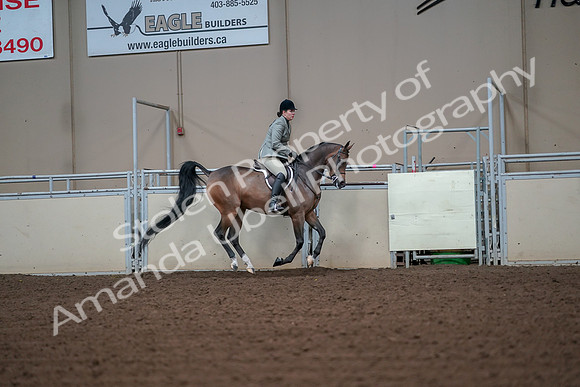 2019 Morgan Horse Show - Aug 30, 2019 - 17605