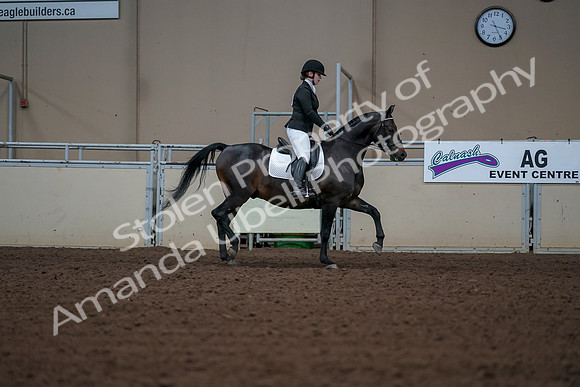 2019 Morgan Horse Show - Aug 30, 2019 - 18539