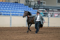 2020 - AB Morgan Horse - Sat, Sept 05 - 00239
