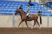 2020 - AB Morgan Horse - Sat, Sept 05 - 02611