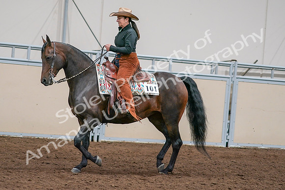 2020 - AB Morgan Horse - Sun, Sept 06 - 01556