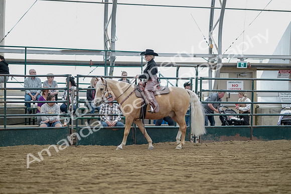 July 21, 2019 - 06526