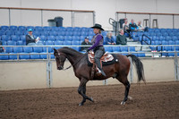 2019 Morgan Horse Show - Aug 31, 2019 - 10545