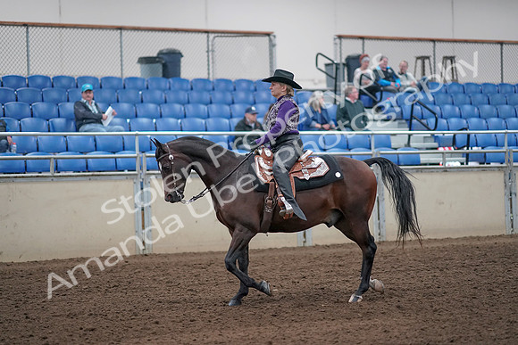 2019 Morgan Horse Show - Aug 31, 2019 - 10545