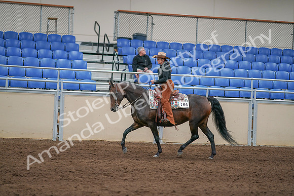 2020 - AB Morgan Horse - Sun, Sept 06 - 01609