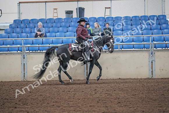 2019 Morgan Horse Show - Aug 31, 2019 - 10677
