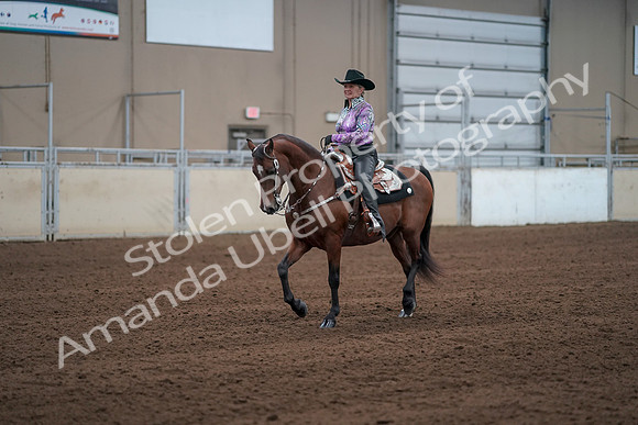 2019 Morgan Horse Show - Sept 01, 2019 - 07206
