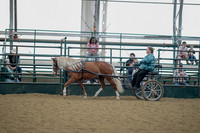 July 21, 2019 - 05992