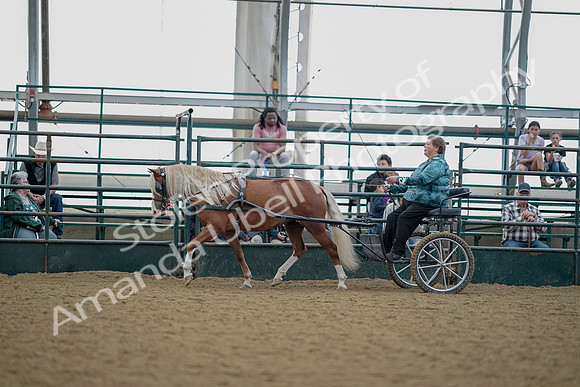 July 21, 2019 - 05992