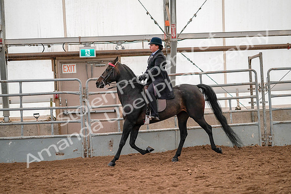July 19, 2019 - 14103