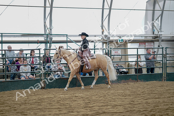 July 21, 2019 - 06727