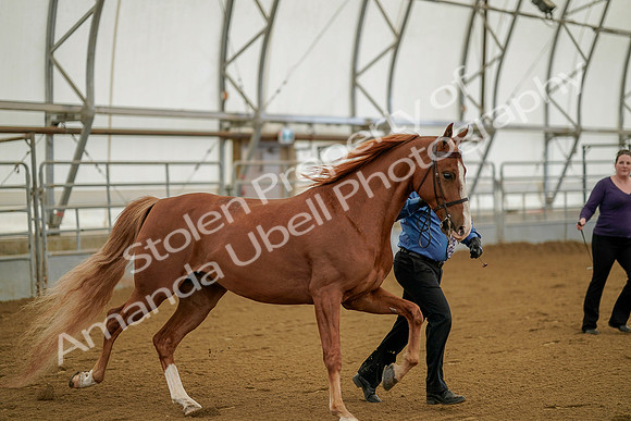 July 19, 2019 - 902