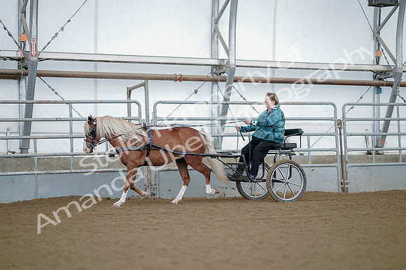 July 21, 2019 - 06613